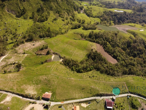 Imagem Imóvel à Venda,  em Zona Rural - Alfredo Wagner