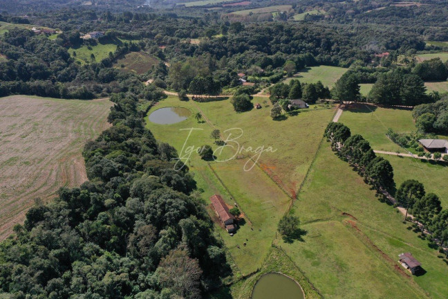 Imagem Imóvel com 2 Quartos à Venda, 22.000 m² em Jardim Florestal - Campo Largo