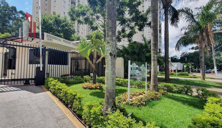 Imagem Apartamento com 3 Quartos à Venda, 74 m² em Freguesia Do ó - São Paulo Imagem Apartamento com 3 Quartos à Venda, 74 m² em Freguesia Do ó - São Paulo