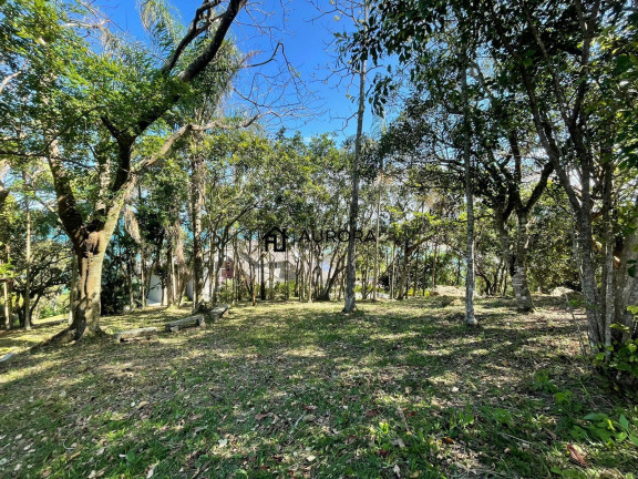 Imagem Terreno à Venda, 199 m² em Estaleirinho - Balneário Camboriú Imagem Terreno à Venda, 199 m² em Estaleirinho - Balneário Camboriú