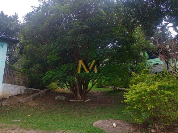Imagem Imóvel com 3 Quartos à Venda, 7.000 m² em Rancho Grande - Mairiporã