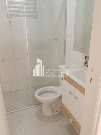 Imagem Apartamento com 3 Quartos à Venda, 66 m² em Jardim Nova Europa - Campinas Imagem Apartamento com 3 Quartos à Venda, 66 m² em Jardim Nova Europa - Campinas