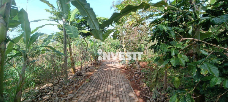 Imagem Chácara com 1 Quarto à Venda, 2.390 m² em Florata Condomínio Florestal - Santo Antônio De Goiás Imagem Chácara com 1 Quarto à Venda, 2.390 m² em Florata Condomínio Florestal - Santo Antônio De Goiás
