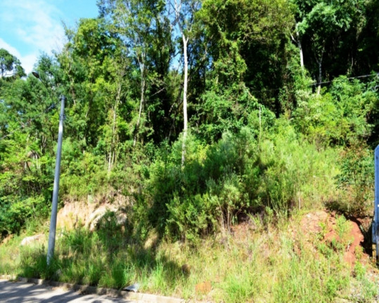 Imagem Imóvel à Venda, 2.125 m² em Piá - Nova Petrópolis