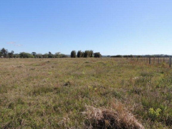Imagem Terreno à Venda, 1.000 m² em Morro Grande - Viamão