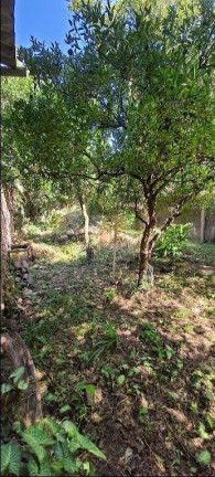 Imagem Casa com 3 Quartos à Venda, 150 m² em Menino Deus - Porto Alegre