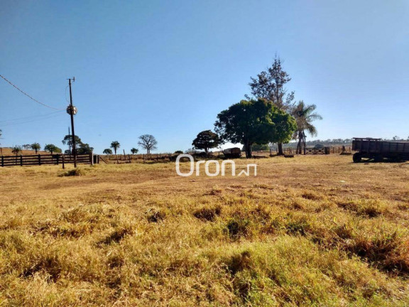 Imagem Fazenda à Venda, 500 m² em Zona Rural - Goianápolis Imagem Fazenda à Venda, 500 m² em Zona Rural - Goianápolis