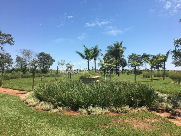 Imagem Fazenda à Venda, 150 m² em Baguaçu - Bilac Imagem Fazenda à Venda, 150 m² em Baguaçu - Bilac