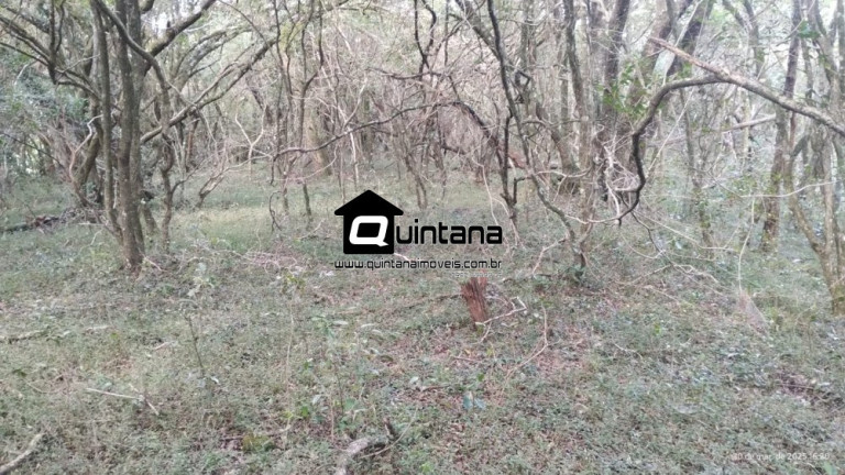 Imóvel com 2 Quartos à Venda, 700.000 m² em Centro - Herval