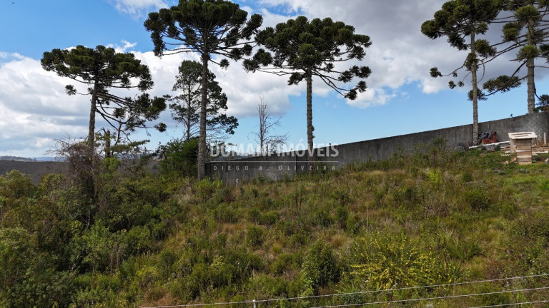 Terreno à Venda, 1.010 m² em Região Do Alto Do Capivari - Campos Do Jordão