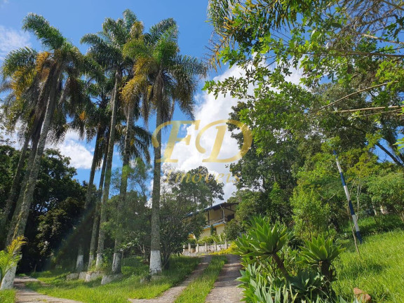 Imagem Chácara com 5 Quartos à Venda, 3.000 m² em Terra Preta - Mairiporã Imagem Chácara com 5 Quartos à Venda, 3.000 m² em Terra Preta - Mairiporã