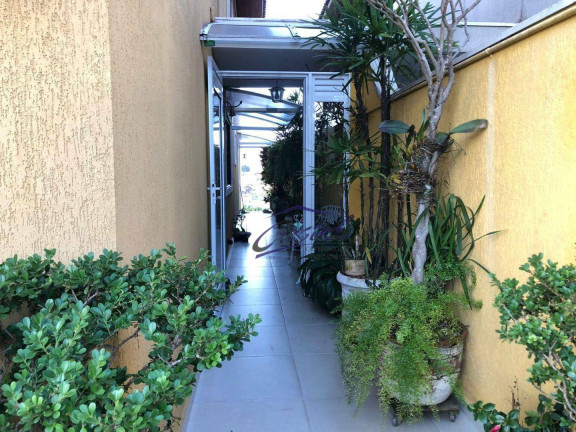 Imagem Casa com 3 Quartos à Venda, 217 m² em Jardim Bonfiglioli - São Paulo Imagem Casa com 3 Quartos à Venda, 217 m² em Jardim Bonfiglioli - São Paulo