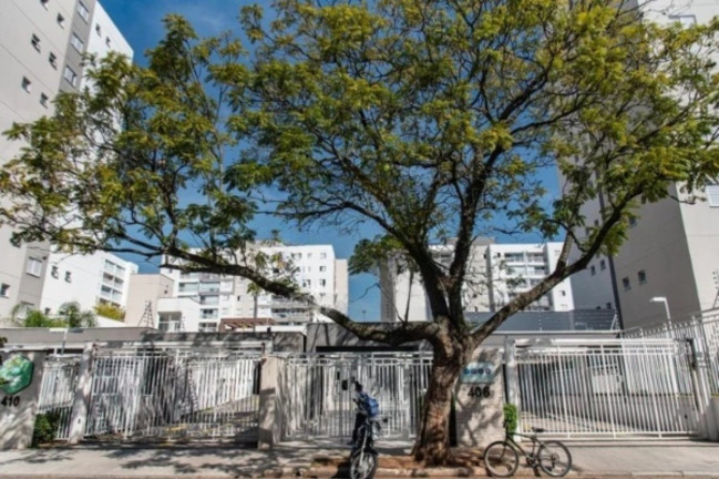 Imagem Imóvel com 1 Quarto à Venda, 59 m² em Ipiranga - São Paulo Imagem Imóvel com 1 Quarto à Venda, 59 m² em Ipiranga - São Paulo
