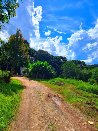 Imagem Chácara com 1 Quarto à Venda, 6.050 m² em Jardim Bela Vista - Balsa Nova Imagem Chácara com 1 Quarto à Venda, 6.050 m² em Jardim Bela Vista - Balsa Nova