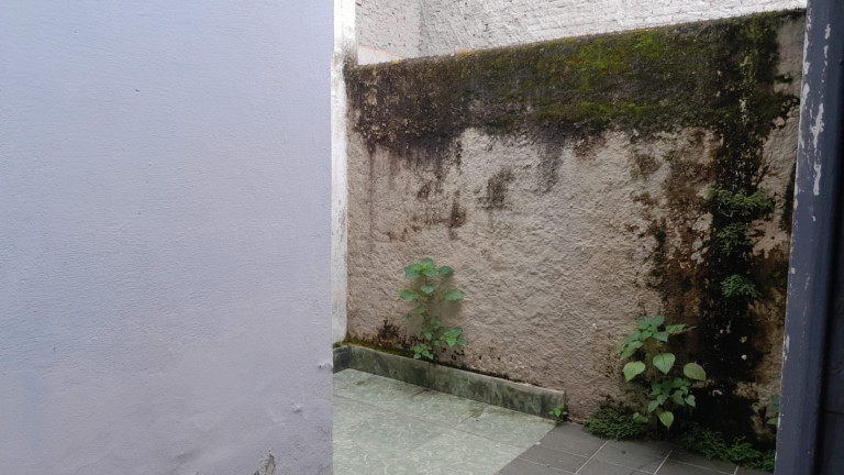 Imagem Casa com 3 Quartos à Venda, 170 m² em Centro - Tremembé