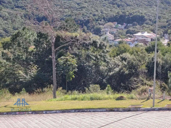 Imagem Terreno à Venda, 638 m² em Itacorubi - Florianópolis