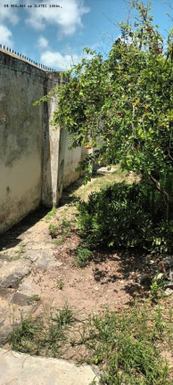 Imagem Casa com 3 Quartos à Venda, 115 m² em Fragoso - Olinda
