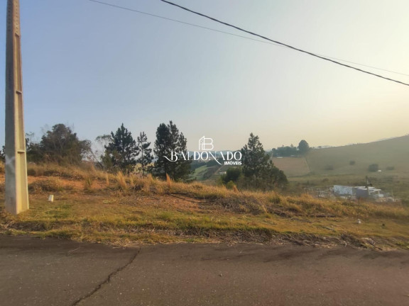 Imagem Terreno à Venda, 300 m² em Toledo - Toledo Imagem Terreno à Venda, 300 m² em Toledo - Toledo