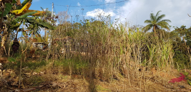 Imagem Chácara com 2 Quartos à Venda, 80 m² em Acuruí - Itabirito