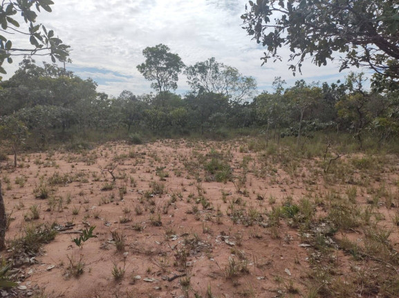 Imagem Fazenda à Venda, 75 m² em Uberlândia Imagem Fazenda à Venda, 75 m² em Uberlândia