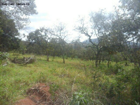 Imagem Terreno à Venda, 4 m² em Duque De Caxias - Mateus Leme
