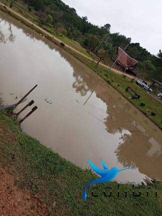 Imagem Chácara com 2 Quartos à Venda, 5.300 m² em Rio Da Várzea - Agudos Do Sul
