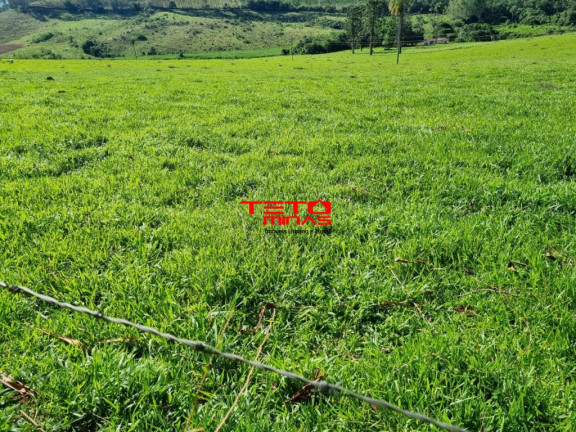 Imagem Imóvel à Venda, 360 m² em Zona Rural - Poços De Caldas Imagem Imóvel à Venda, 360 m² em Zona Rural - Poços De Caldas