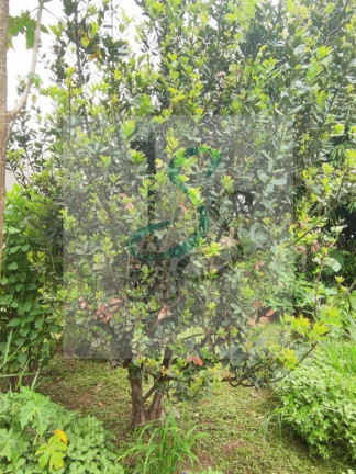 Imagem Imóvel com 3 Quartos à Venda, 300 m² em Chácaras Videiras De Itaici - Indaiatuba Imagem Imóvel com 3 Quartos à Venda, 300 m² em Chácaras Videiras De Itaici - Indaiatuba
