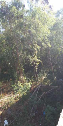 Terreno à Venda, 5.909 m² em Campo Grande - Rio De Janeiro