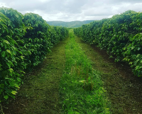 Imagem Imóvel à Venda, em Bragança Paulista - Bragança Paulista Imagem Imóvel à Venda, em Bragança Paulista - Bragança Paulista