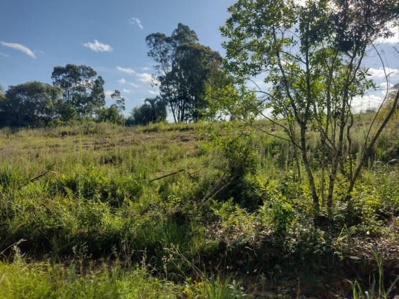 Imagem Terreno à Venda, 20.000 m² em Alto Perequê - Arroio Do Padre Imagem Terreno à Venda, 20.000 m² em Alto Perequê - Arroio Do Padre