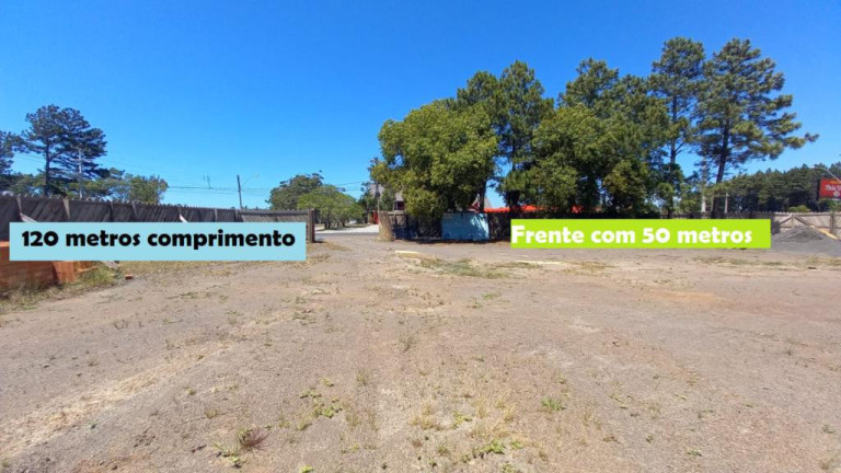 Imagem Sala Comercial à Venda, 1.500 m² em Arroio Teixeira - Capao Da Canoa Imagem Sala Comercial à Venda, 1.500 m² em Arroio Teixeira - Capao Da Canoa