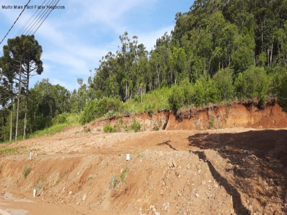 Terreno à Venda, 398 m² em Linha Imperial - Nova Petrópolis
