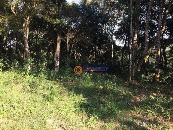 Imagem Terreno à Venda, 6.500 m² em Vila Bonita (santa Luzia) - Ribeirão Pires Imagem Terreno à Venda, 6.500 m² em Vila Bonita (santa Luzia) - Ribeirão Pires
