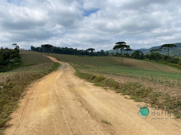 Imagem Imóvel à Venda, 1.600.000 m² em Zona Rural - Vidal Ramos Imagem Imóvel à Venda, 1.600.000 m² em Zona Rural - Vidal Ramos