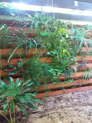Imagem Imóvel com 3 Quartos à Venda, 5.018 m² em Caputera - Sorocaba