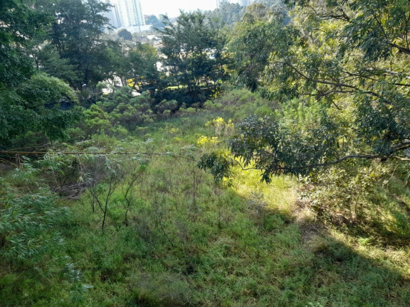 Imagem Imóvel à Venda, 900 m² em Jardim Tupanci - Barueri Imagem Imóvel à Venda, 900 m² em Jardim Tupanci - Barueri