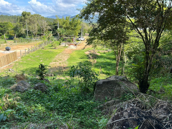 Imagem Terreno à Venda, 3.250 m² em Ribeirão - Paulo Lopes Imagem Terreno à Venda, 3.250 m² em Ribeirão - Paulo Lopes