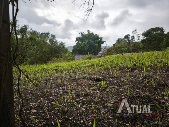 Imagem Terreno à Venda, 353 m² em Jundiaizinho (terra Preta) - Mairiporã
