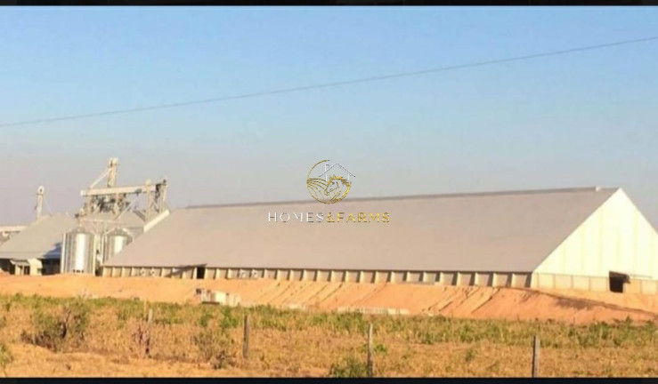 Imagem Imóvel com 3 Quartos à Venda, 39.000 m² em Zona Rural - Confresa Imagem Imóvel com 3 Quartos à Venda, 39.000 m² em Zona Rural - Confresa
