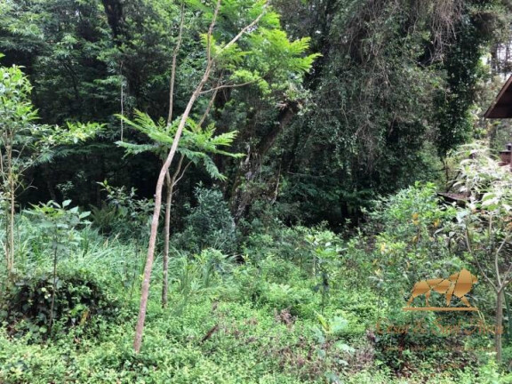Imagem Terreno à Venda, 2.450 m² em Capivari - Campos Do Jordão Imagem Terreno à Venda, 2.450 m² em Capivari - Campos Do Jordão