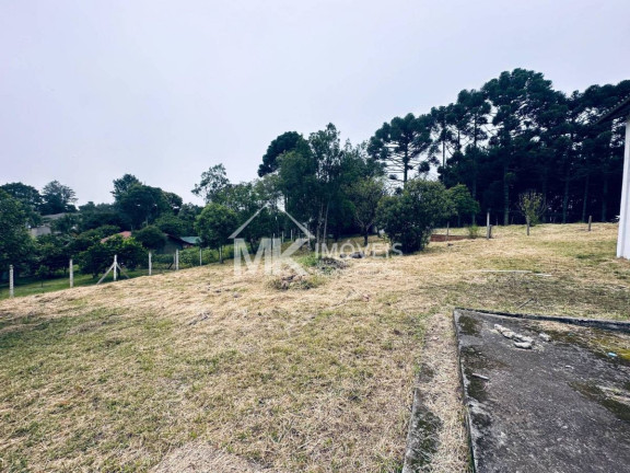 Imagem Chácara com 3 Quartos à Venda, 407 m² em Borda Do Campo (quatro Barras) Imagem Chácara com 3 Quartos à Venda, 407 m² em Borda Do Campo (quatro Barras)