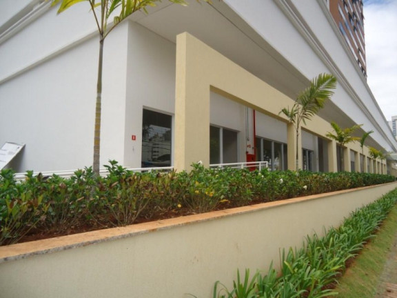 Imagem Imóvel à Venda, 205 m² em Vila Itapura - Campinas Imagem Imóvel à Venda, 205 m² em Vila Itapura - Campinas