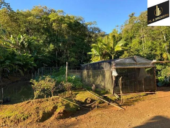 Imagem Imóvel com 2 Quartos à Venda, 177.000 m² em Zona Rural - Massaranduba