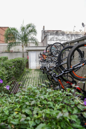 Imagem Apartamento com 2 Quartos à Venda, 48 m² em Santo Amaro - São Paulo Imagem Apartamento com 2 Quartos à Venda, 48 m² em Santo Amaro - São Paulo