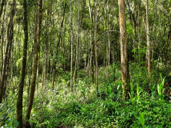 Imagem Terreno à Venda, 3 m² em São Jacó - Nova Petrópolis