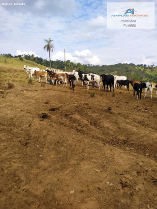 Imagem Fazenda à Venda, 50 m² em Mateus Leme