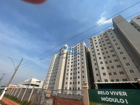 Imagem Imóvel com 2 Quartos à Venda, 42 m² em Samambaia Sul (samambaia) - Brasília Imagem Imóvel com 2 Quartos à Venda, 42 m² em Samambaia Sul (samambaia) - Brasília