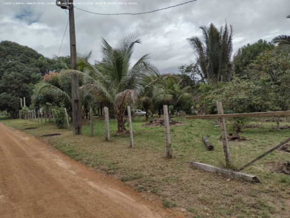 Imagem Chácara à Venda, 5.000 m² em Areia Branca - Porto Velho Imagem Chácara à Venda, 5.000 m² em Areia Branca - Porto Velho