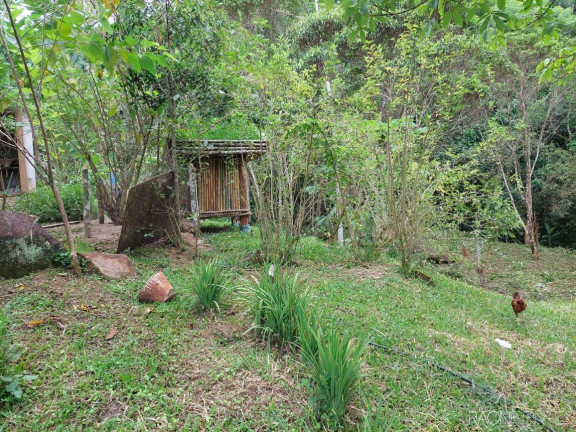 Imagem Chácara com 5 Quartos à Venda, 256 m² em Papucaia - Cachoeiras De Macacu Imagem Chácara com 5 Quartos à Venda, 256 m² em Papucaia - Cachoeiras De Macacu